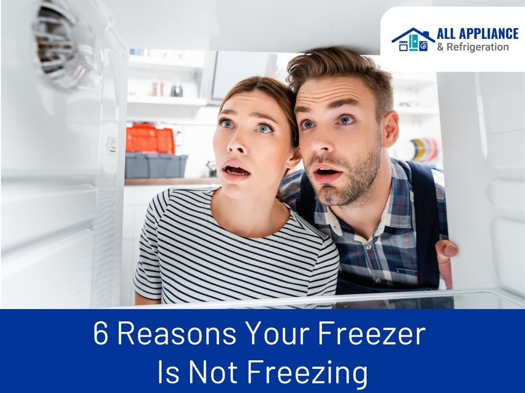 6 Reasons Your Freezer Is Not Freezing